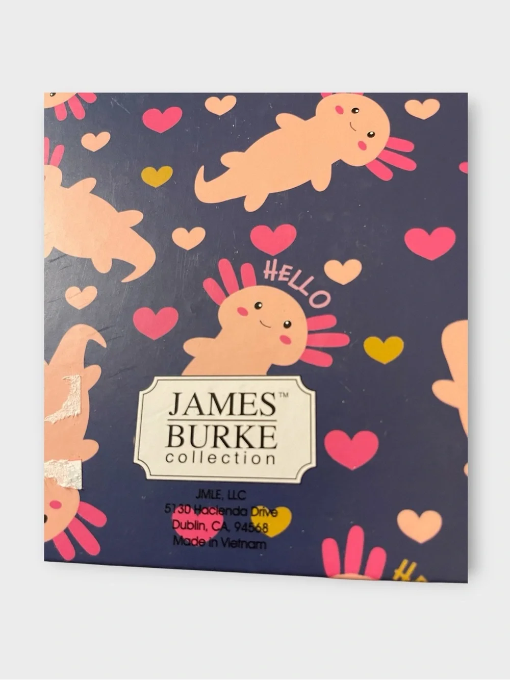 🌸 Meet Your New Favorite Organizer: James Burke Axolotl Spiral Notebook 🌸
